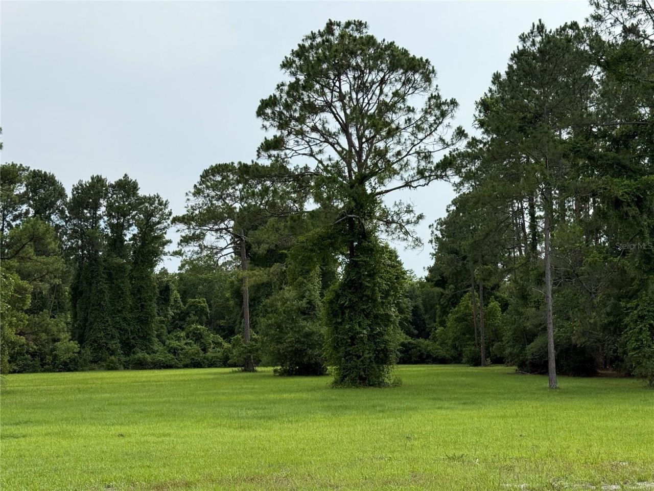 1360 S State Road 19, Palatka, FL 32177 Photo