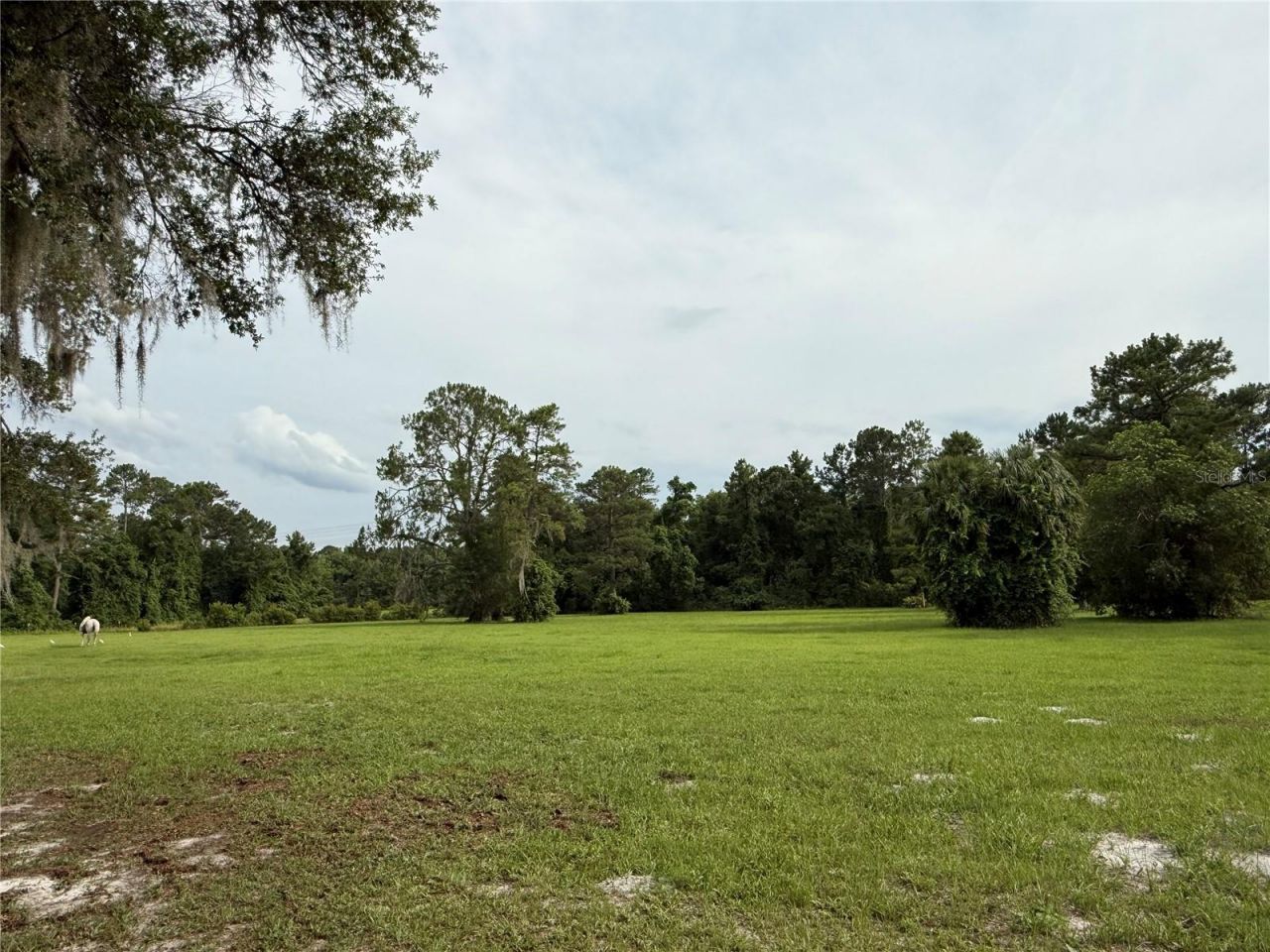 1360 S State Road 19, Palatka, FL 32177 Photo