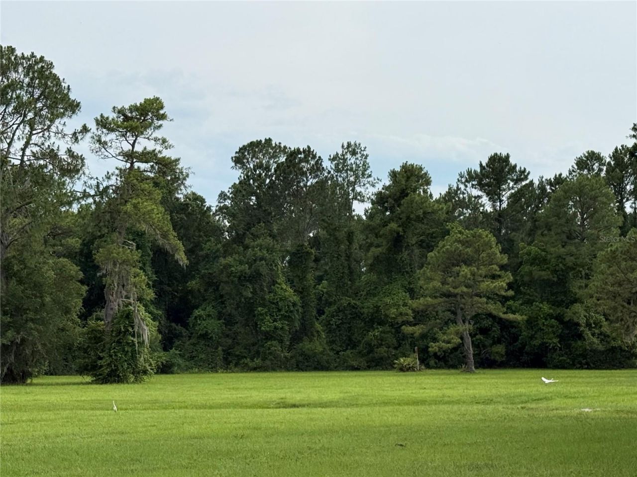 1360 S State Road 19, Palatka, FL 32177 Photo