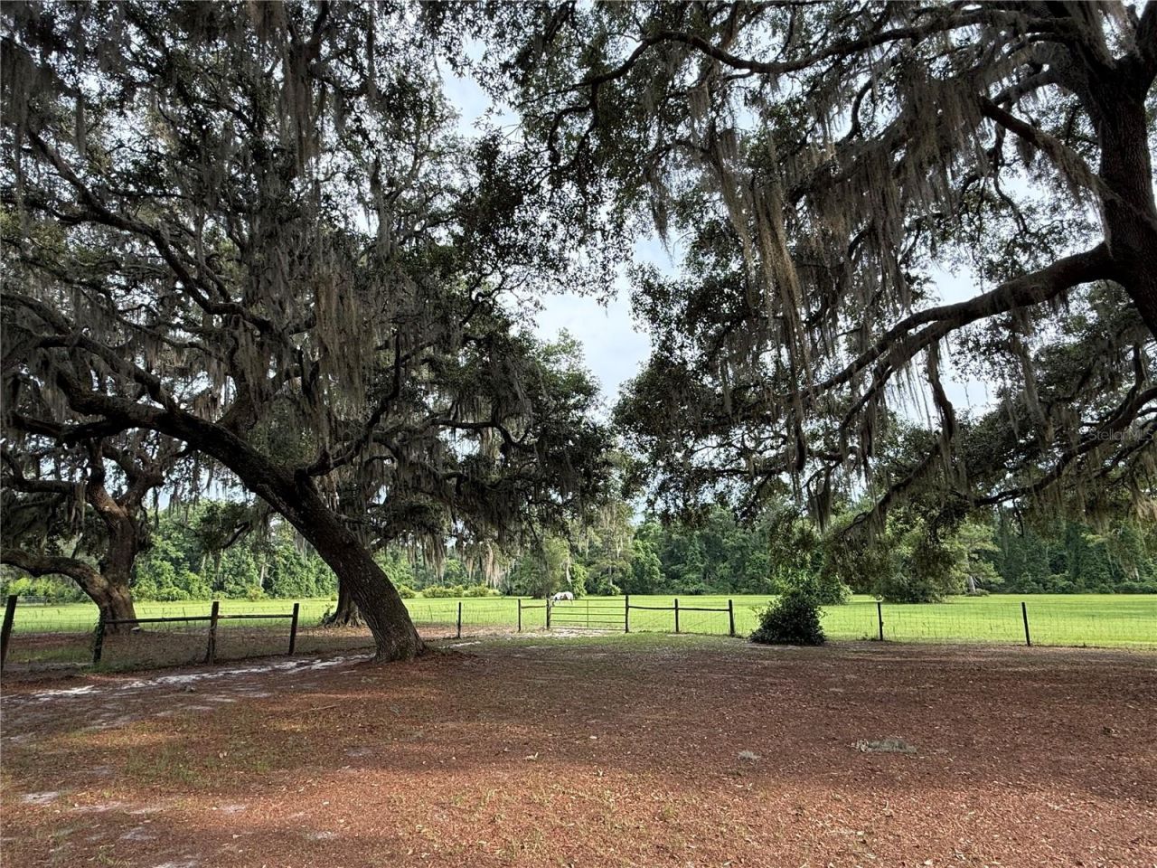 1360 S State Road 19, Palatka, FL 32177 Photo