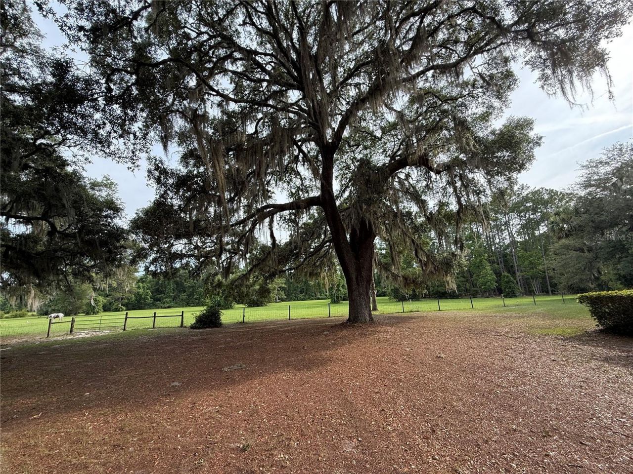 1360 S State Road 19, Palatka, FL 32177 Photo