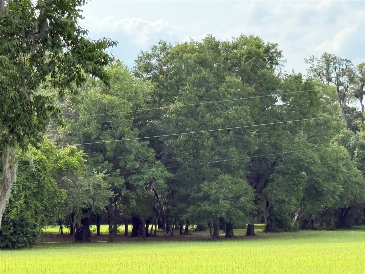 1360 S State Road 19, Palatka, FL 32177 Photo