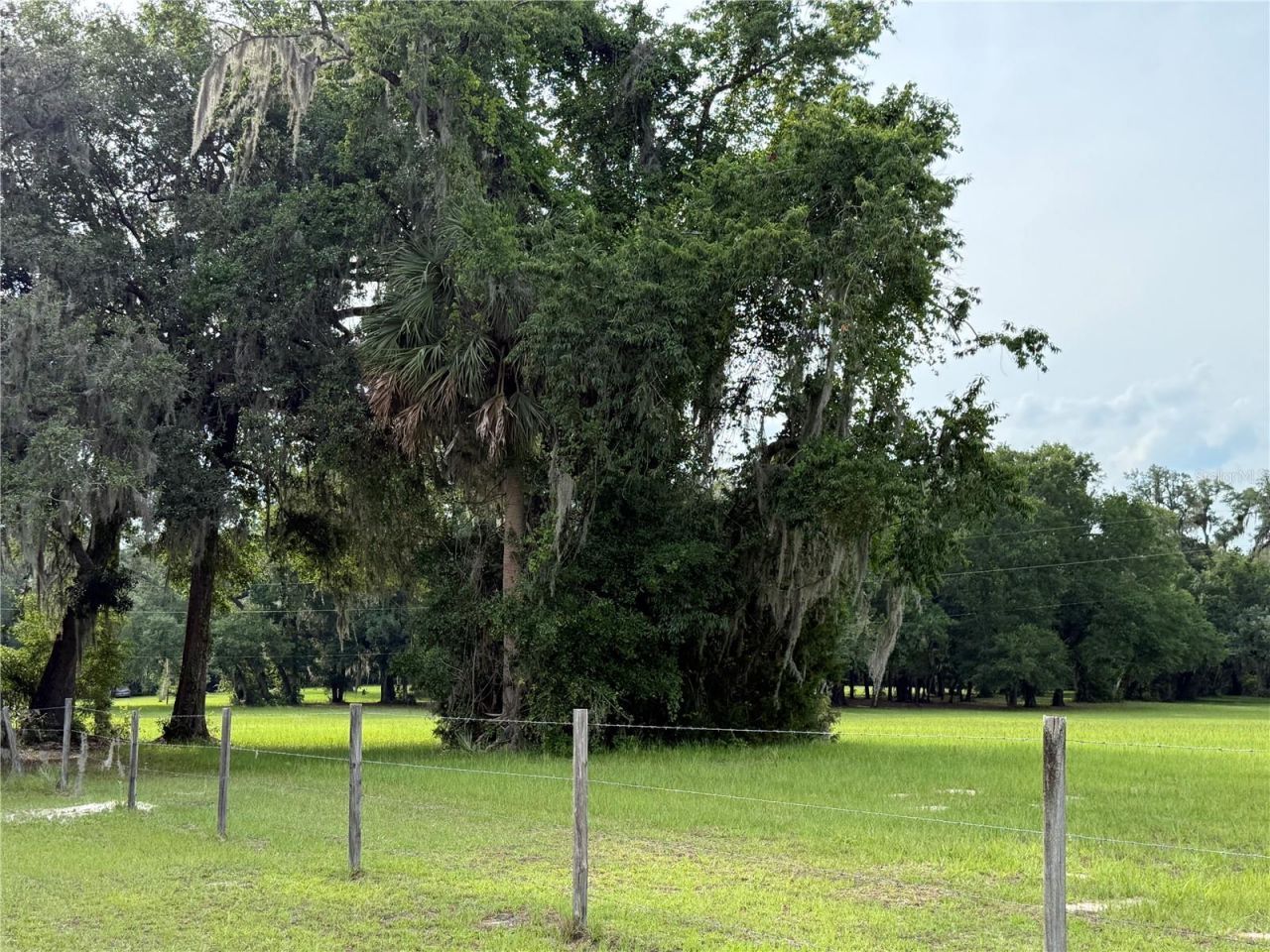 1360 S State Road 19, Palatka, FL 32177 Photo