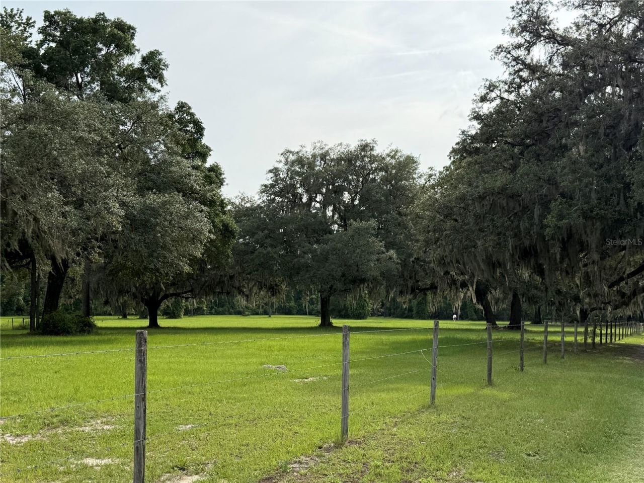 1360 S State Road 19, Palatka, FL 32177 Photo