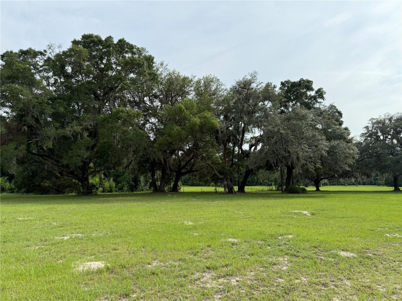 1360 S State Road 19, Palatka, FL 32177 Photo