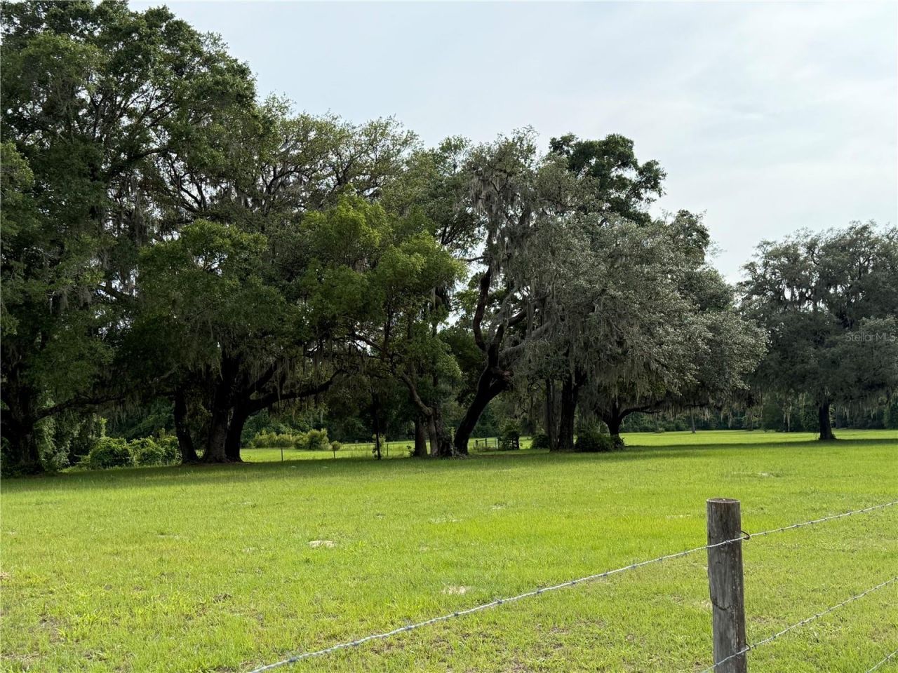 1360 S State Road 19, Palatka, FL 32177 Photo