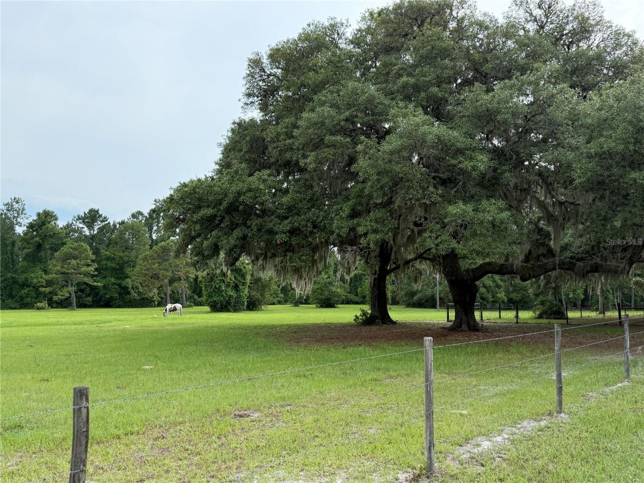 1360 S State Road 19, Palatka, FL 32177 Photo