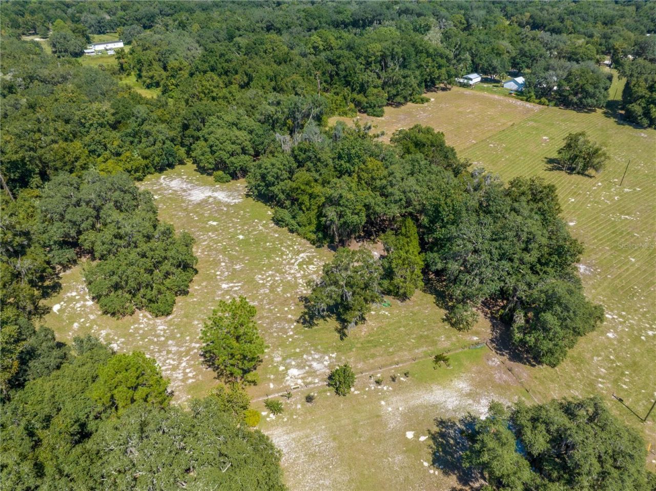 1360 S State Road 19, Palatka, FL 32177 Photo