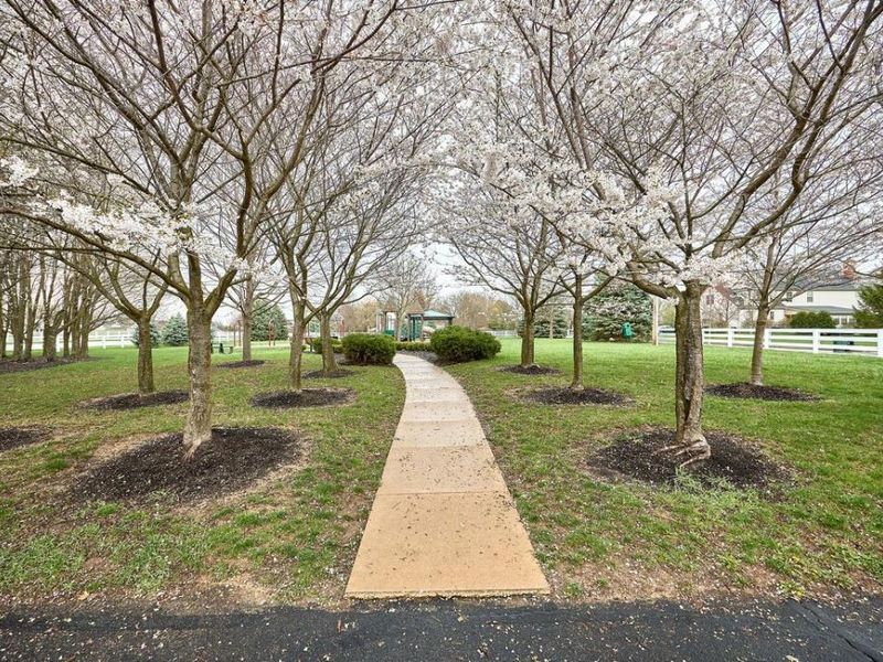 7301 Wood Edge Lane, New Albany, OH 43054 Photo 58