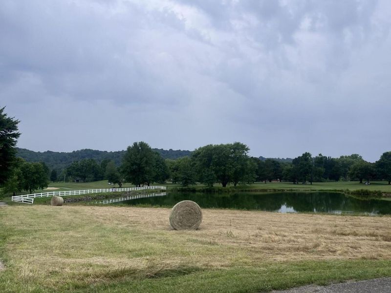 52-65 Crystal Court, Perry Park, KY 40363 Photo 3