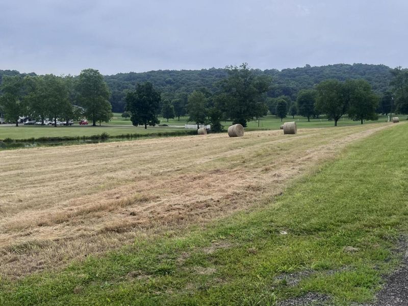 52-65 Crystal Court, Perry Park, KY 40363 Photo 4