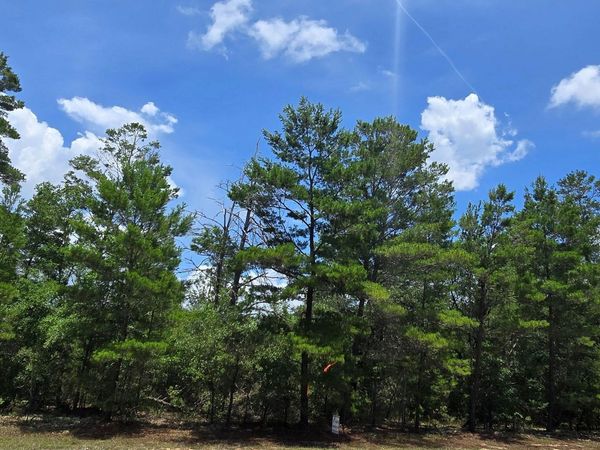 Lot 8 Jamaica Circle, Chipley, FL 32428