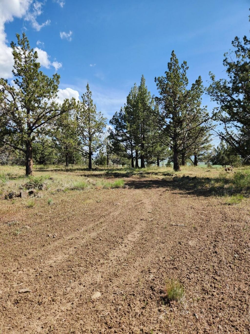 Hummingbird Lane, Unit Lot 5, Alturas, CA 96101 Main Photo