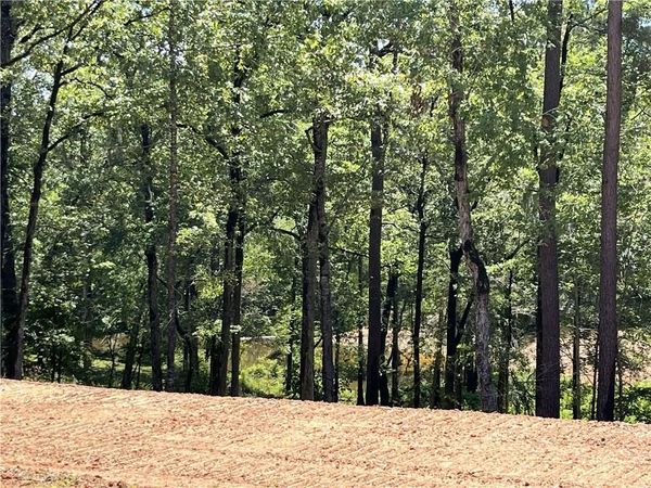 340 WHITE PEARCH Lane, Zwolle, LA 71486