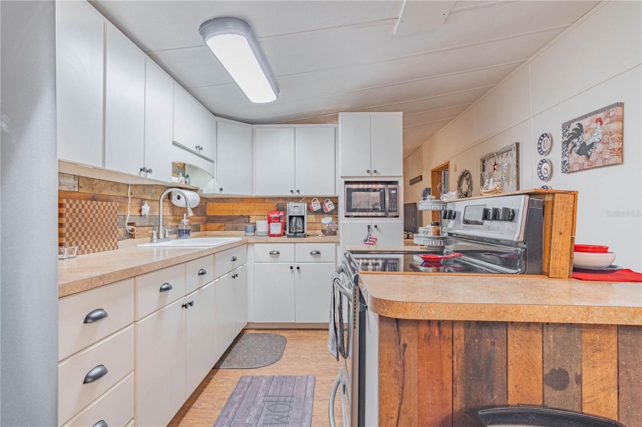 2634 Cr 416n, Lake Panasoffkee, FL 33538 Photo