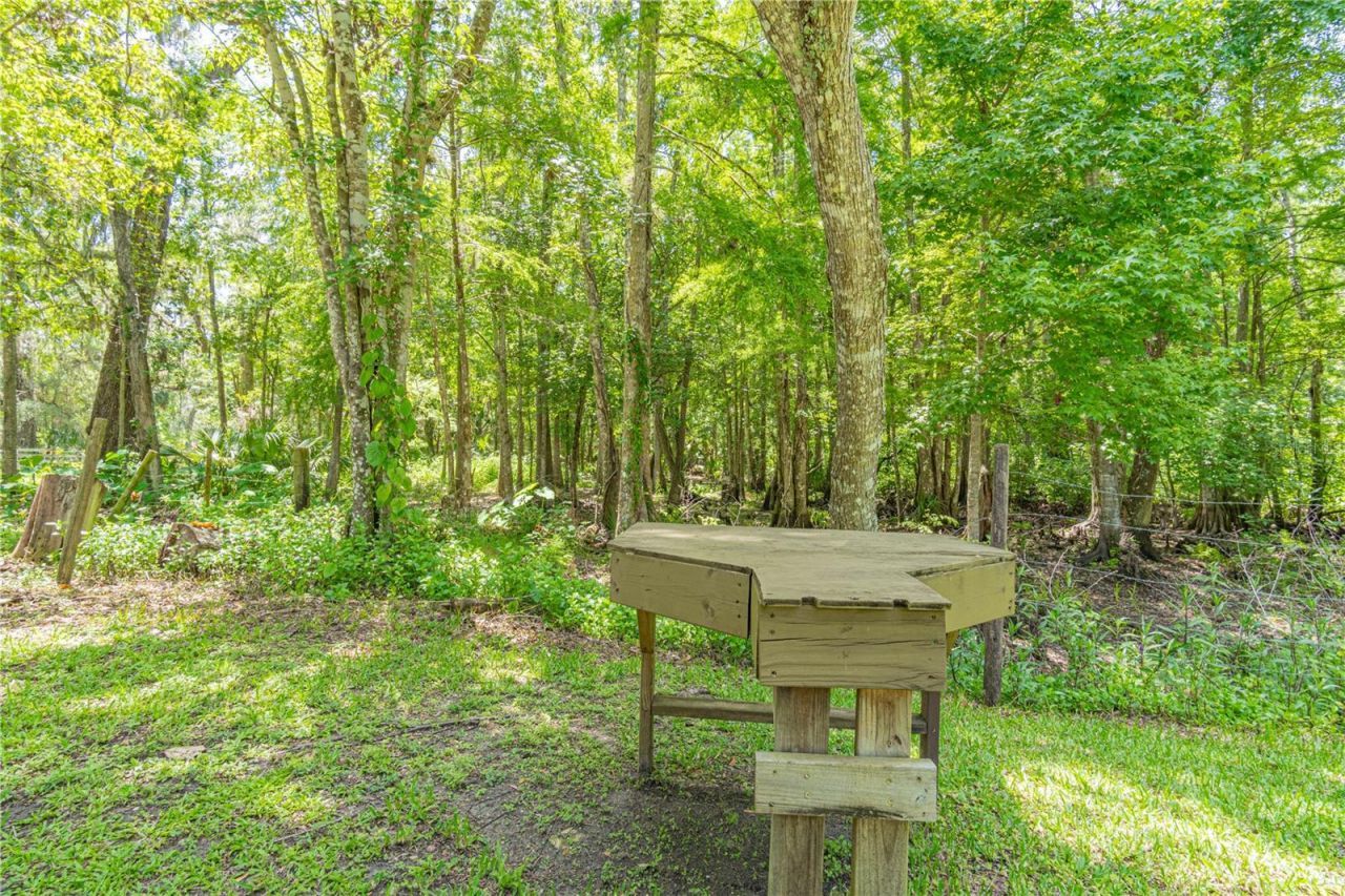 2634 Cr 416n, Lake Panasoffkee, FL 33538 Photo