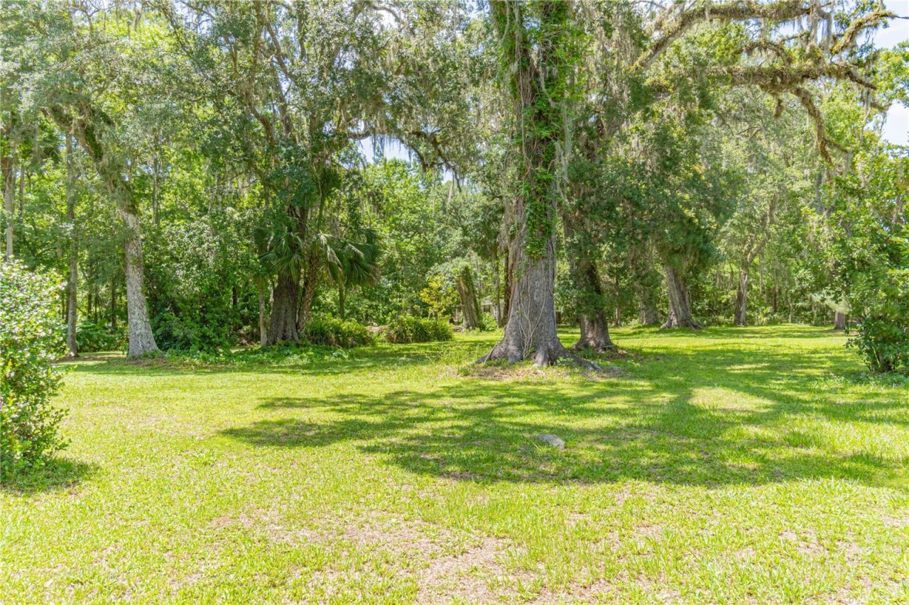 2634 Cr 416n, Lake Panasoffkee, FL 33538 Photo