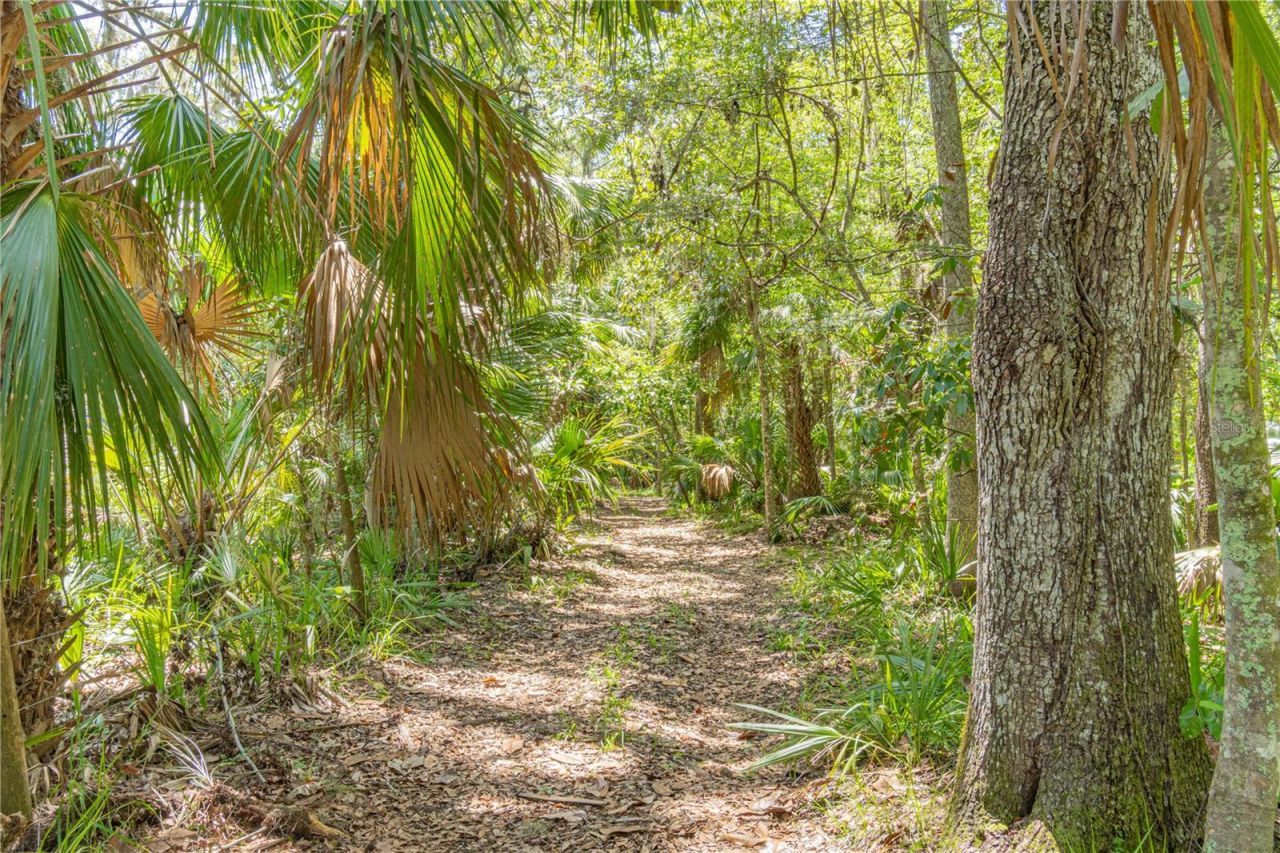 2634 Cr 416n, Lake Panasoffkee, FL 33538 Photo