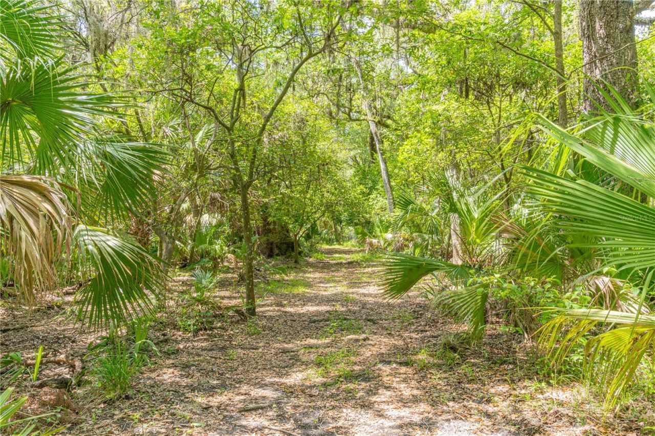 2634 Cr 416n, Lake Panasoffkee, FL 33538 Photo