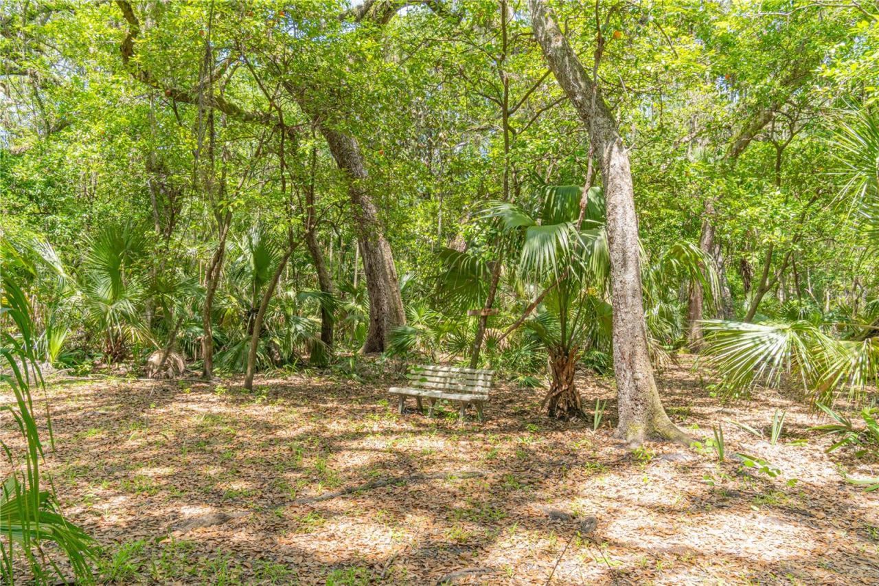 2634 Cr 416n, Lake Panasoffkee, FL 33538 Photo