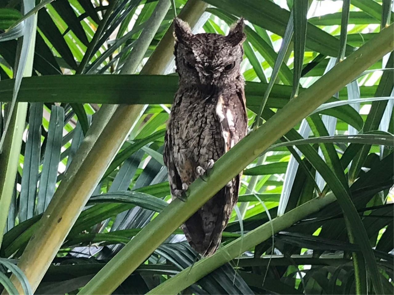 2634 Cr 416n, Lake Panasoffkee, FL 33538 Photo