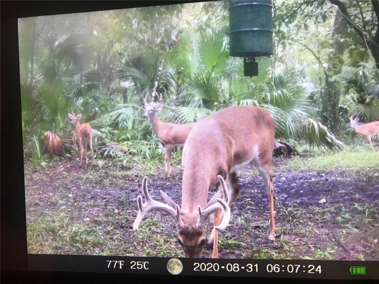 2634 Cr 416n, Lake Panasoffkee, FL 33538 Photo