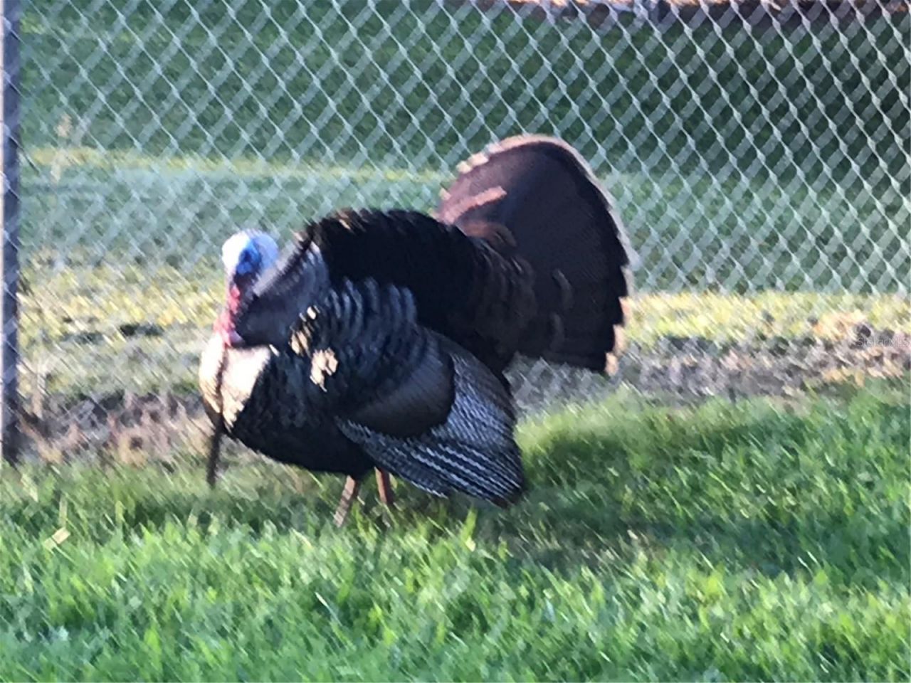 2634 Cr 416n, Lake Panasoffkee, FL 33538 Photo