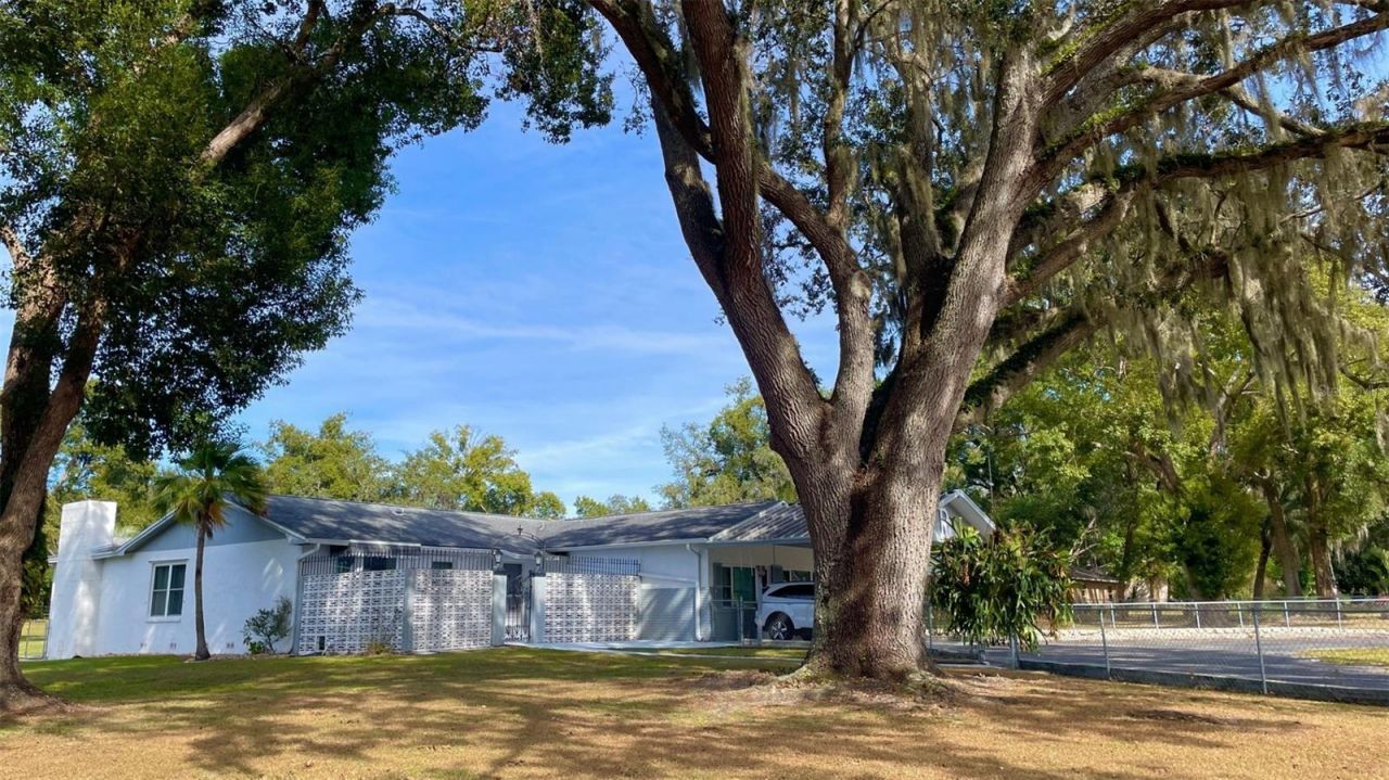 38819 Otis Allen Road, Zephyrhills, FL 33540 Photo