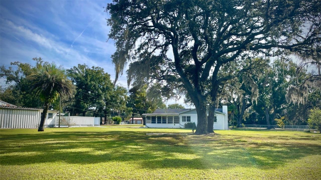 38819 Otis Allen Road, Zephyrhills, FL 33540 Photo