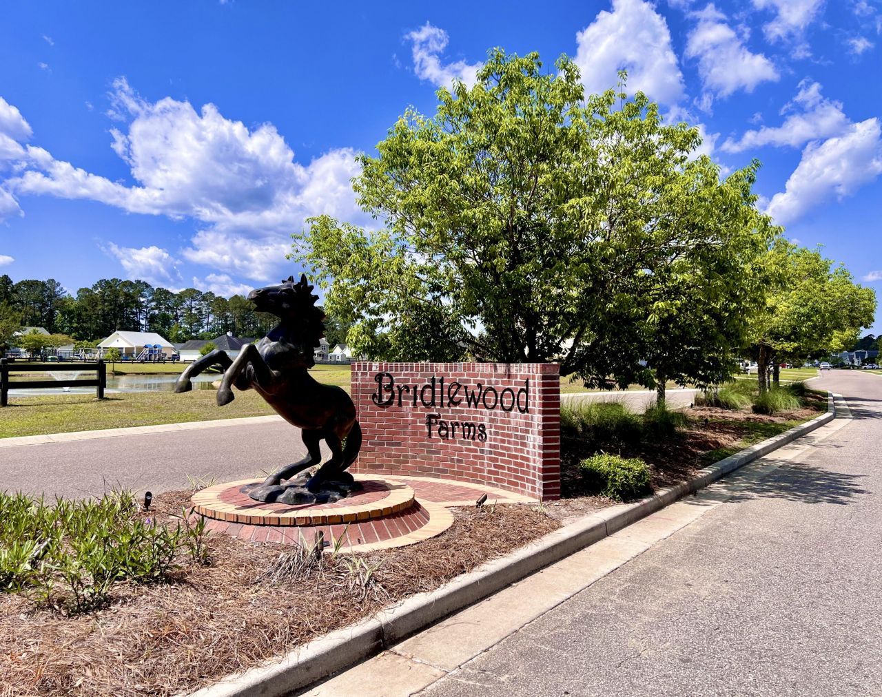 3006 Central Ring Court Photo 4