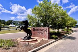 3006 Central Ring Court photo 4