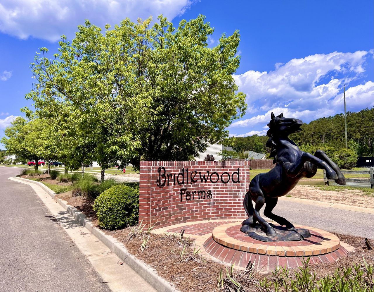 3006 Central Ring Court Photo 5