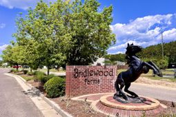 3006 Central Ring Court photo 4