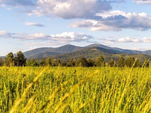 NKA E Day Mt Spokane Rd, Mead, WA 99021