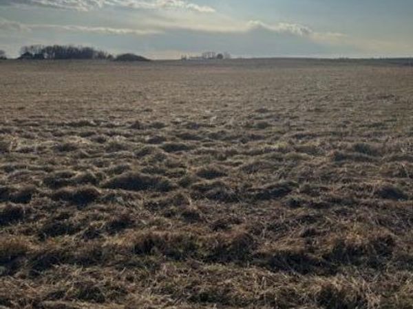 Lot 1 350th Street, Jewell, IA 50130