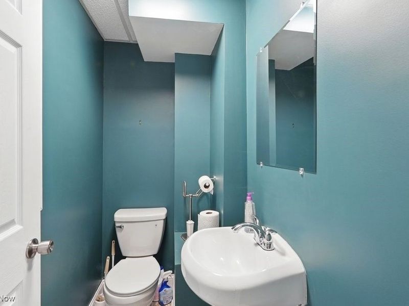 430 Delaware Avenue, Akron, OH 44303 Photo 37