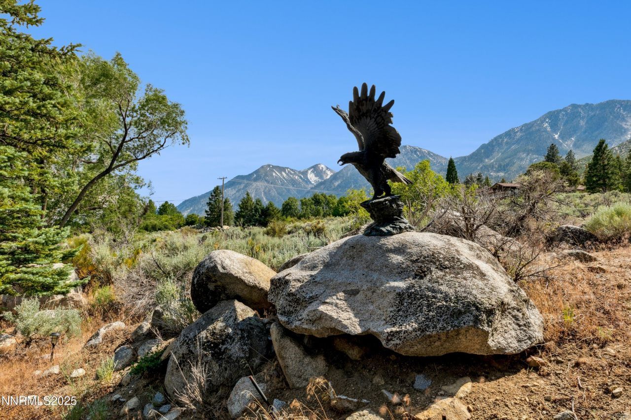 1299 W Kingsbury Grade Road, Gardnerville, NV 89460 Photo