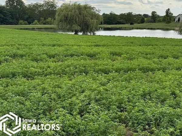 Gear Avenue, Fairfield, IA 52556