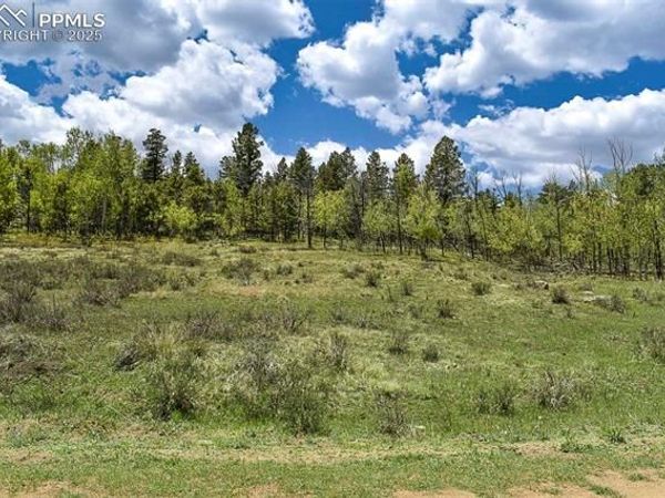 130 Rock Drive, Guffey, CO 80820