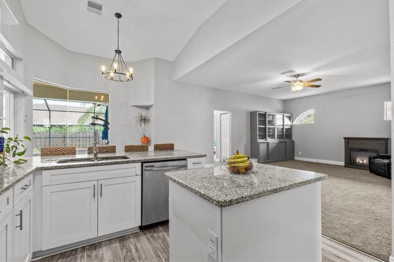 3138 Deergrass Court, Holiday, FL 34691 Photo