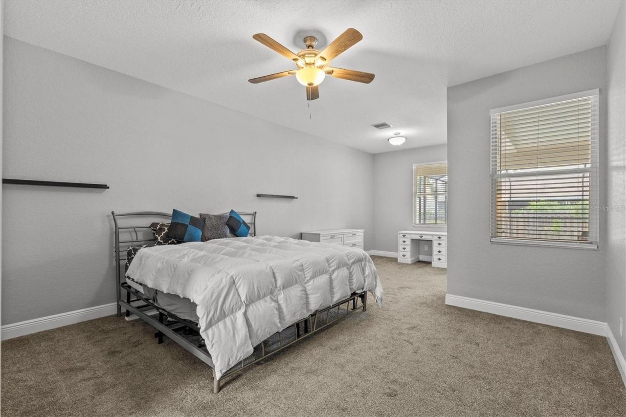 3138 Deergrass Court, Holiday, FL 34691 Photo