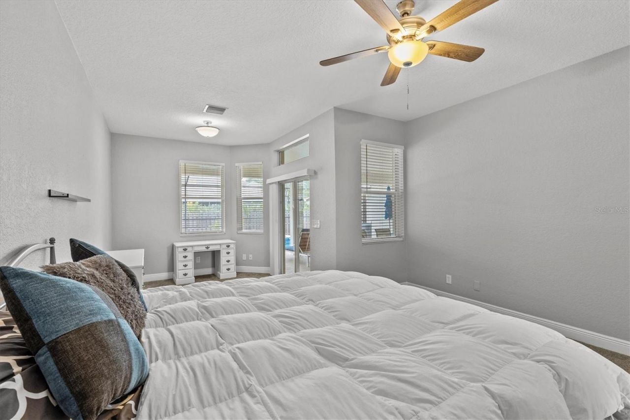 3138 Deergrass Court, Holiday, FL 34691 Photo