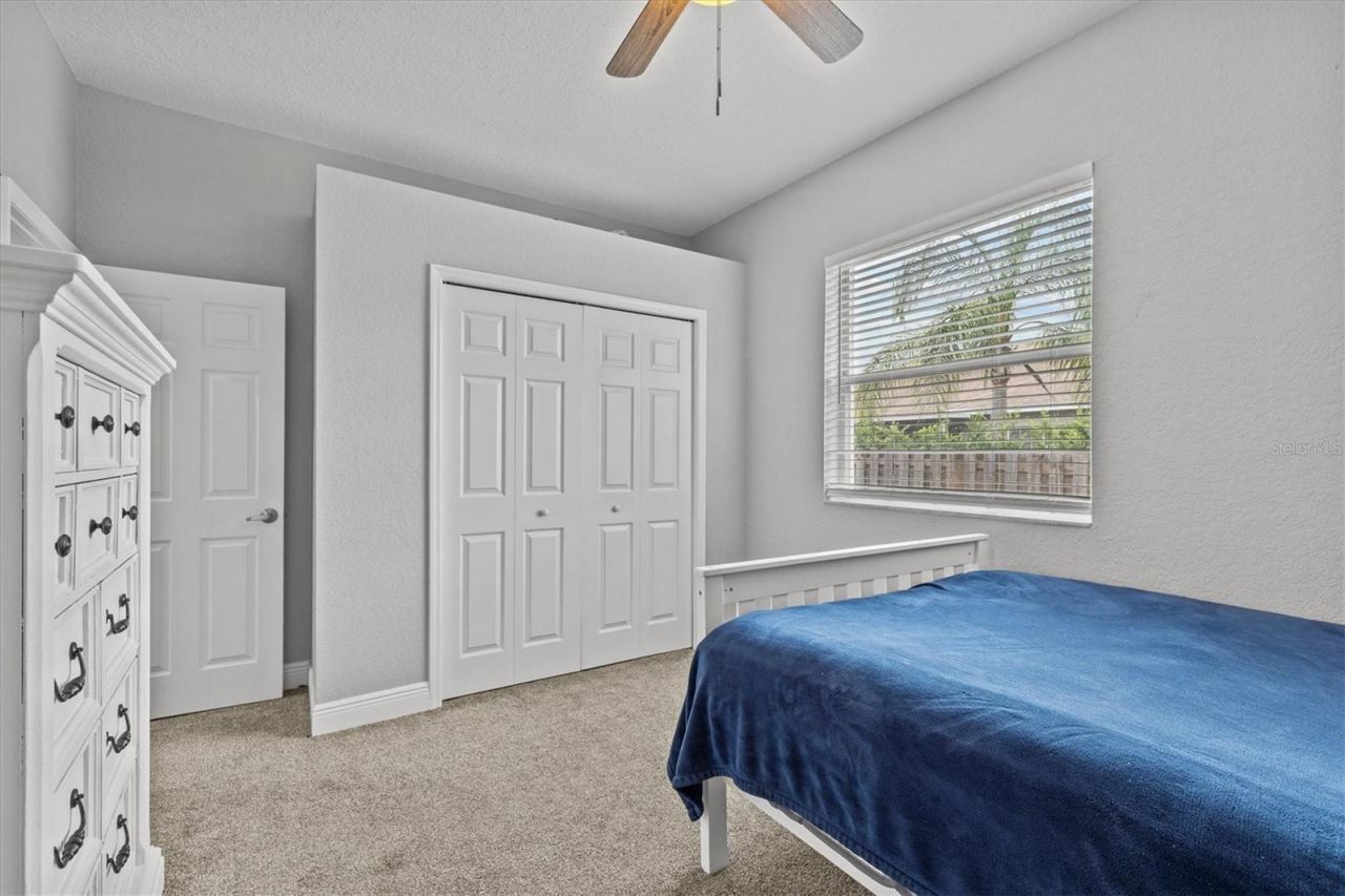 3138 Deergrass Court, Holiday, FL 34691 Photo