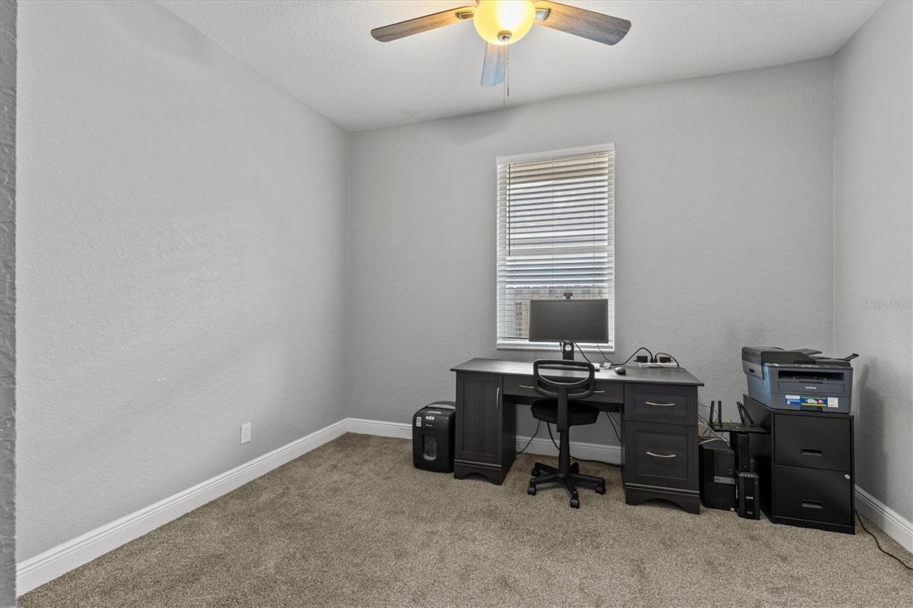 3138 Deergrass Court, Holiday, FL 34691 Photo