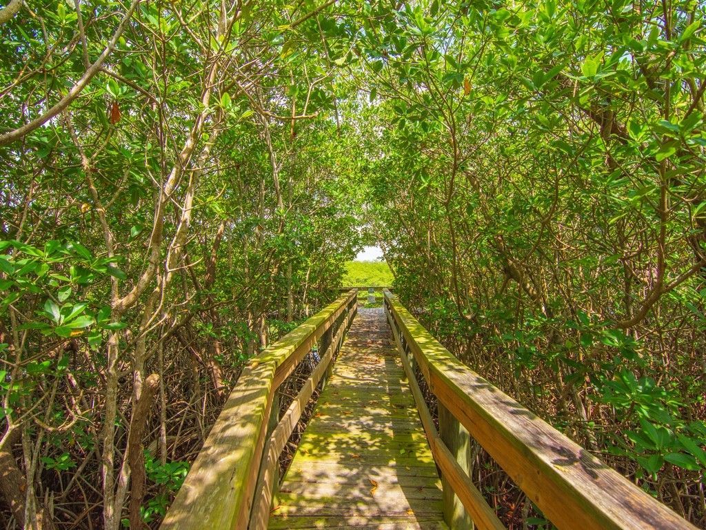 4949 N A1a Highway, Unit 54, Fort Pierce, FL 34949 Photo