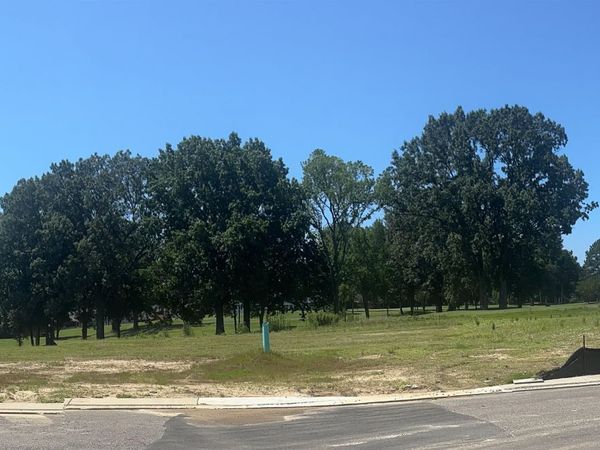 8599 GEIBERGER DR, Cordova, TN 38016