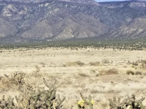 S Rio del Oro Lot 34 & 35, Los Lunas, NM 87031