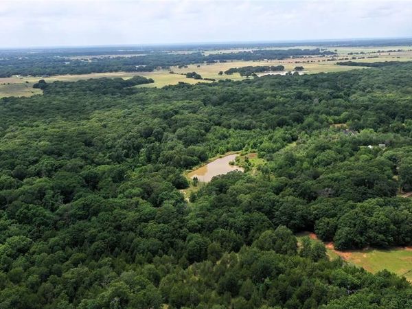 TBD County Road 2620, Ivanhoe, TX 75447