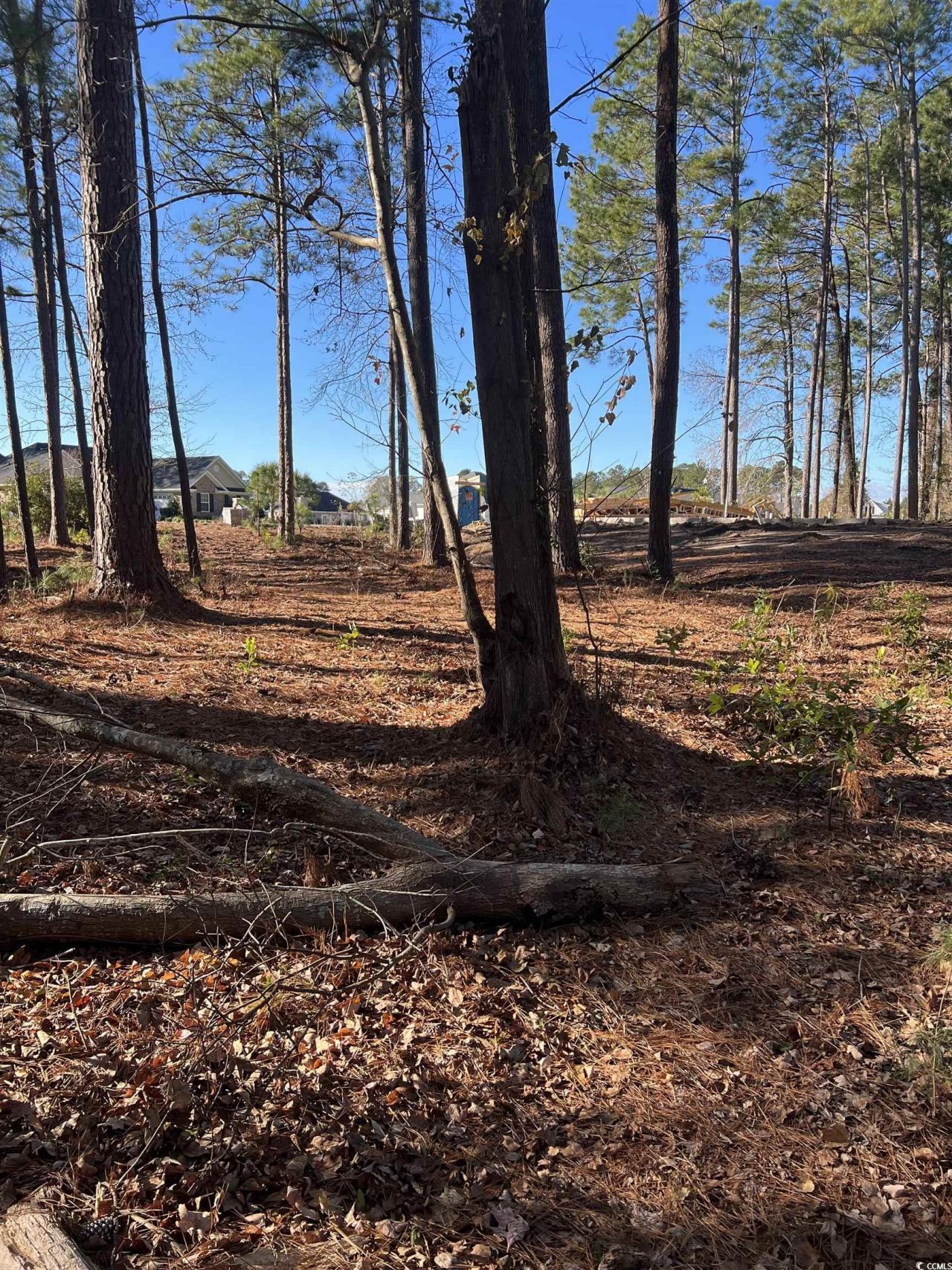 1000 Maccoa Dr. Photo 11