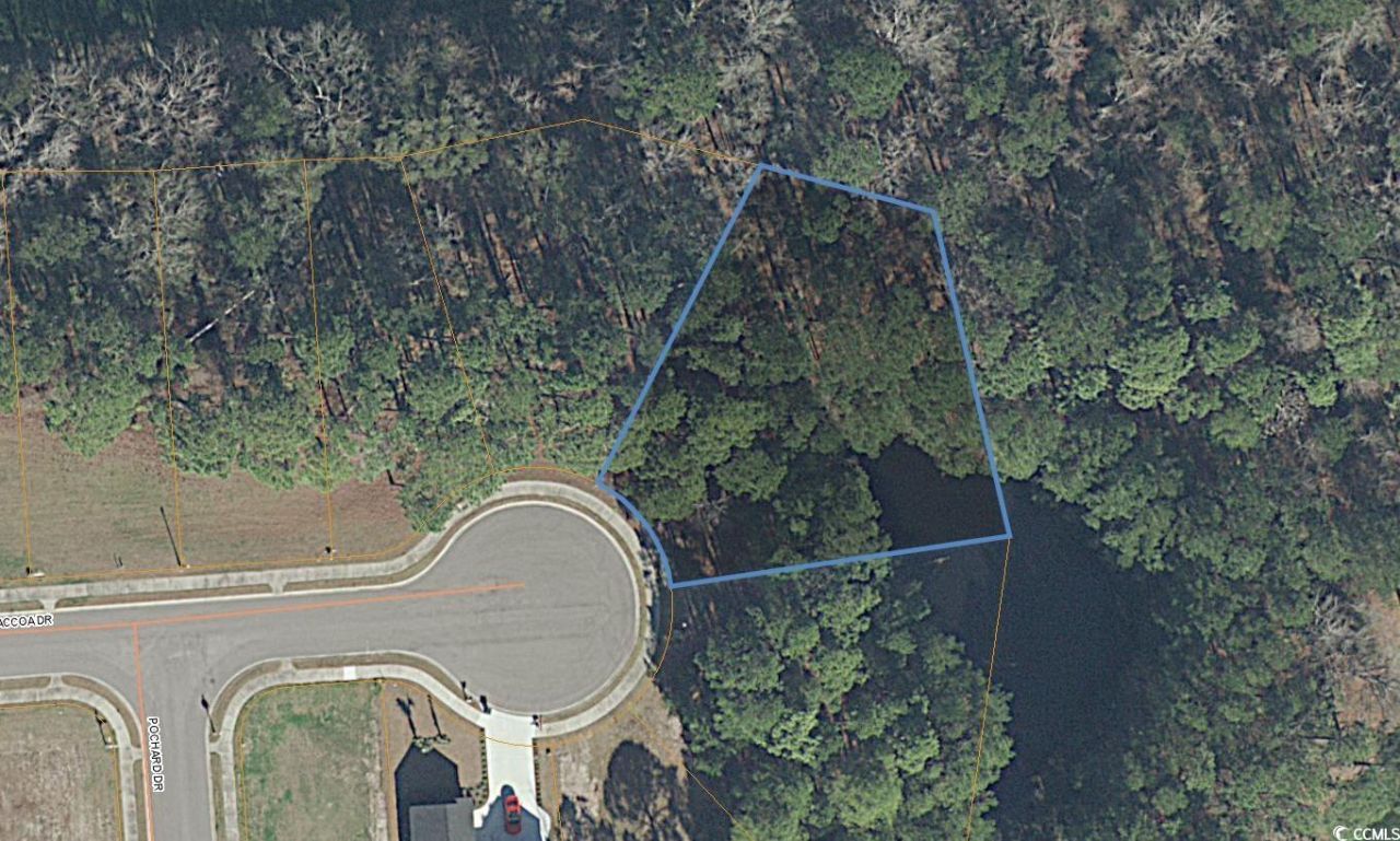 1000 Maccoa Dr. Photo 6